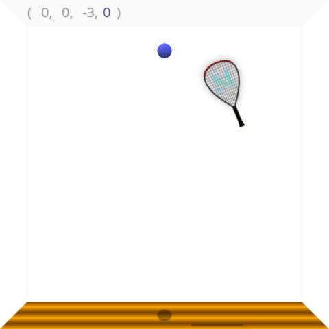 4D Racquetball